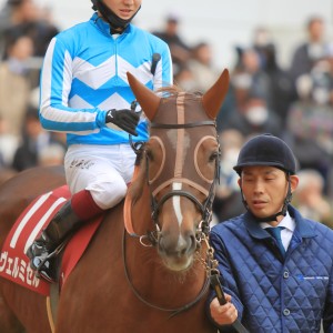 2025/12/6 ステイヤーズS(G2)