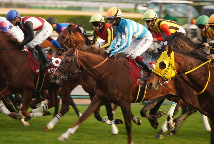 2025/12/6 ステイヤーズS(G2) ヴェルミセル