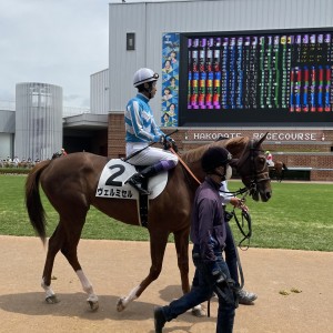 2023/6/11 3歳未勝利(牝)