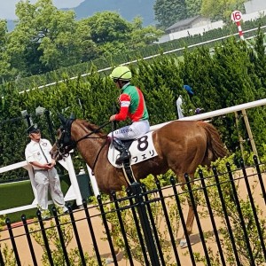 2024/5/26 4歳以上2勝クラス