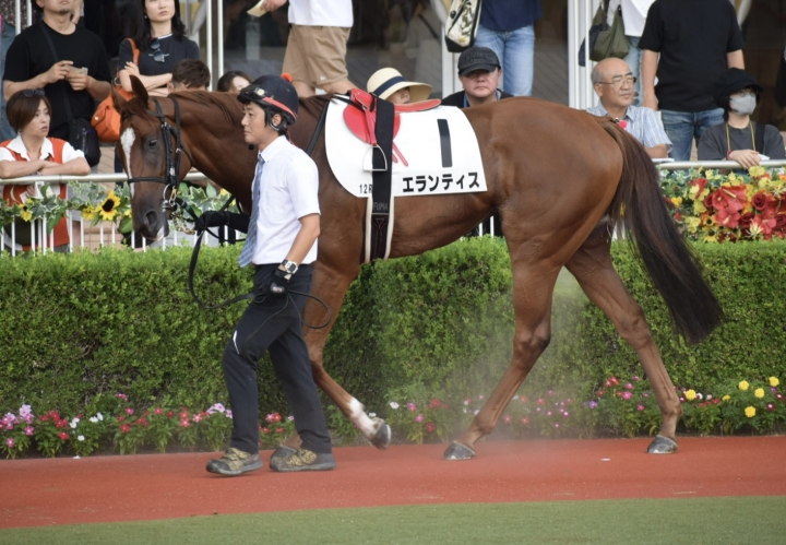 2023年8月 エランティス