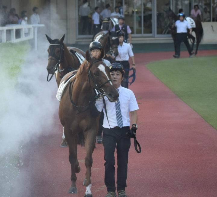 2023年8月 エランティス