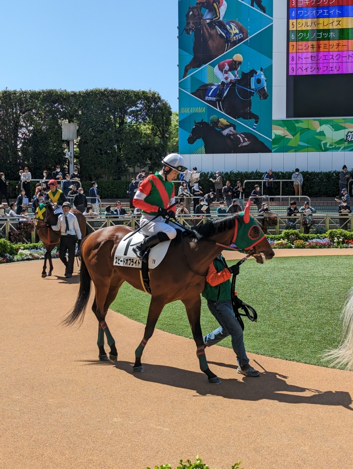 2023年4月 スピードオブライト