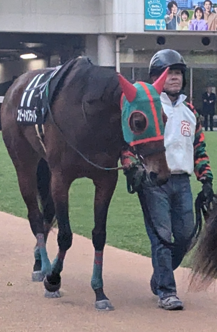 2025年1月 スピードオブライト