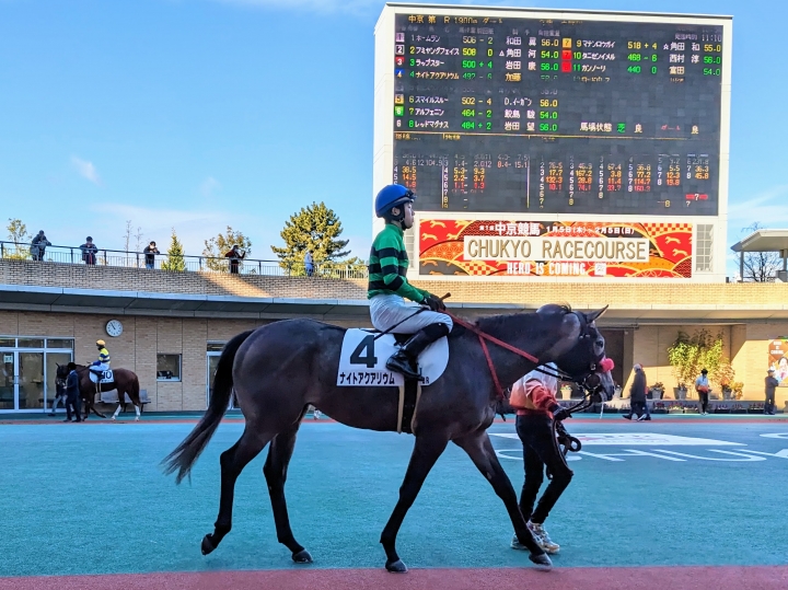 パドック2 ナイトアクアリウム