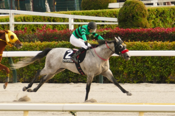 2025年11月 ナイトアクアリウム