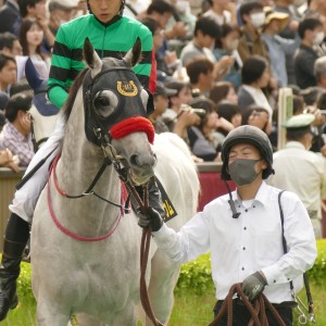 2026/4/26 オアシスS(OP)