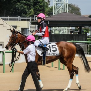 新馬戦　レース後引き上げ時