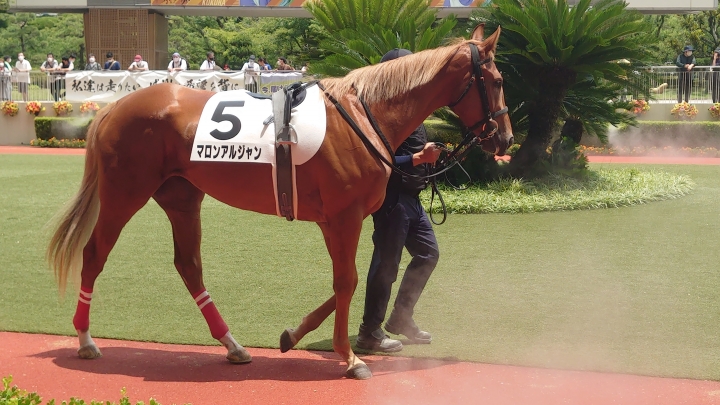 2022年7月 マロンアルジャン