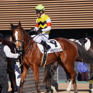 2022/12/24 2歳新馬