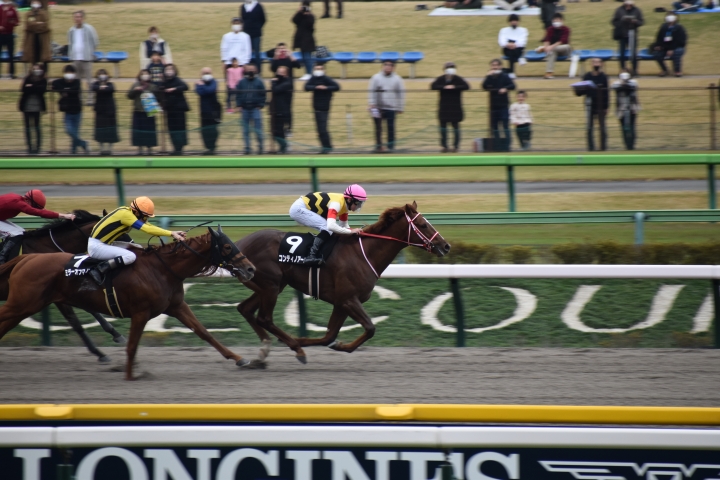 2022年11月 コンティノアール