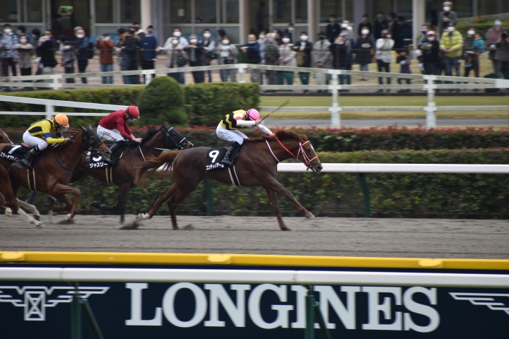 2022年11月 コンティノアール