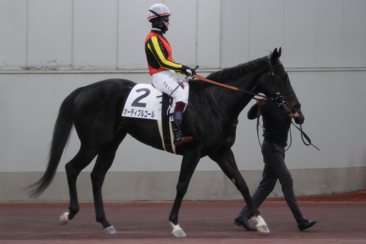 2023年12月 オーディブルコール