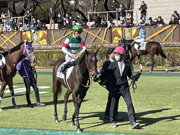 2023/2/11 3歳未勝利 ルーラルハピネス