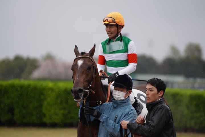 2023/3/25 3歳1勝クラス レーベンスティール