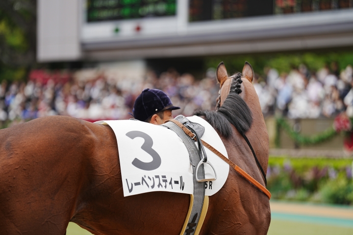 2023/5/14 3歳1勝クラス レーベンスティール