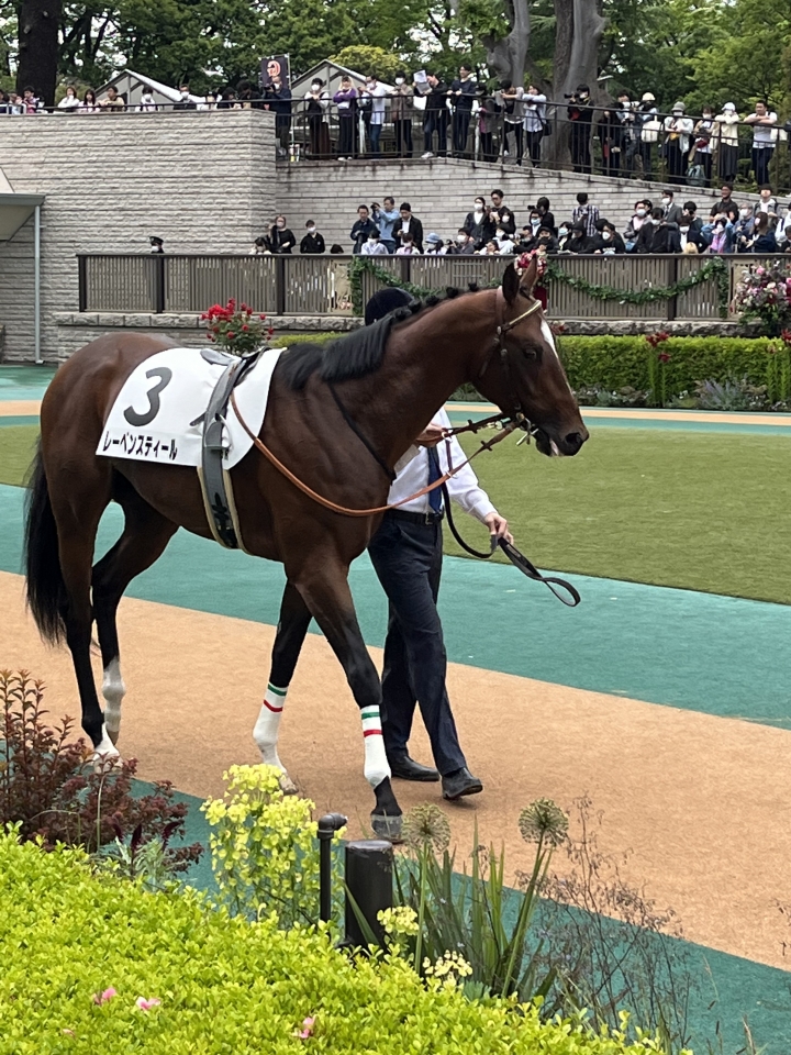 2023/5/14 3歳1勝クラス レーベンスティール