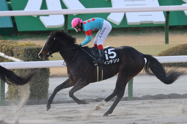 2025年1月 インテンソ