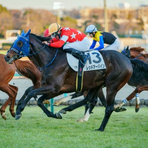 2024/1/14 4歳以上1勝クラス