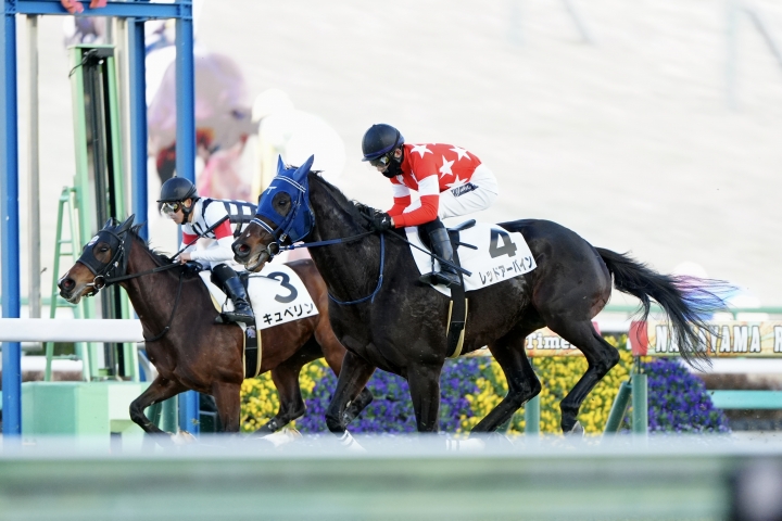 2025/1/13 4歳以上1勝クラス レッドアーバイン