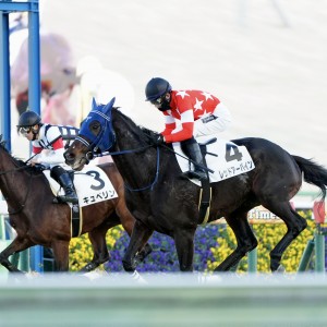 2025/1/13 4歳以上1勝クラス
