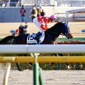 2025/2/9 4歳以上1勝クラス
