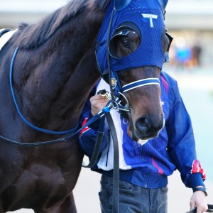 2025/2/9 4歳以上1勝クラス