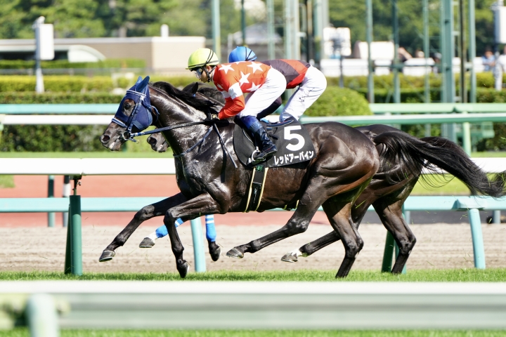 2025/9/6 古作特別(1勝クラス) レッドアーバイン