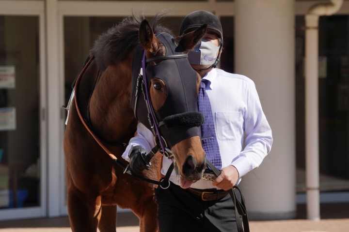 2023/2/25 3歳未勝利 ルージュアマルフィ