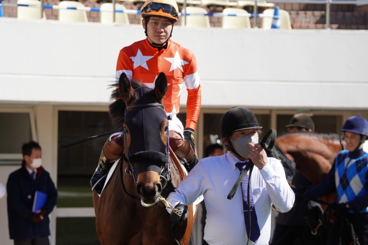 2023/2/25 3歳未勝利 ルージュアマルフィ