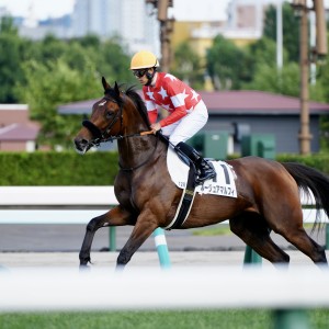 2024/7/21 3歳以上1勝クラス