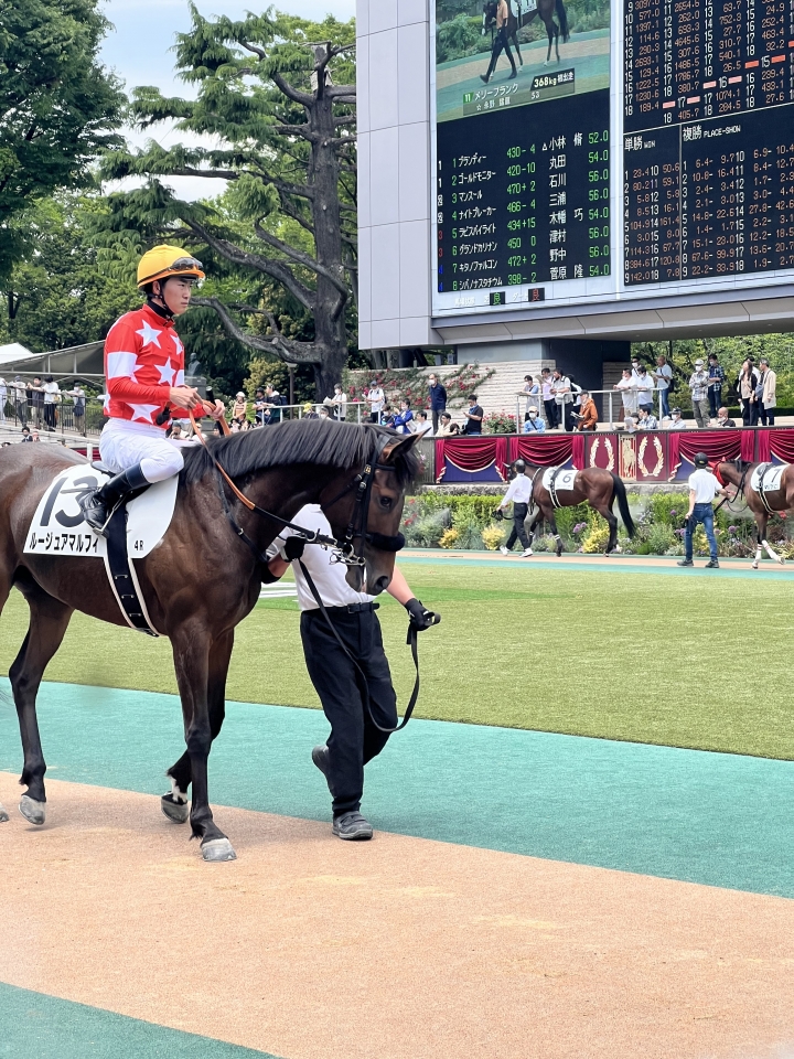 2023/5/6 3歳未勝利 ルージュアマルフィ