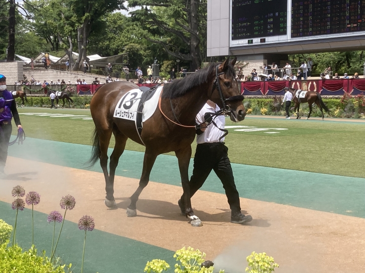 2023/05/06 3歳未勝利 ルージュアマルフィ