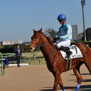 2022/12/10 2歳新馬