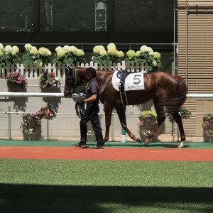 2023/7/2 3歳未勝利