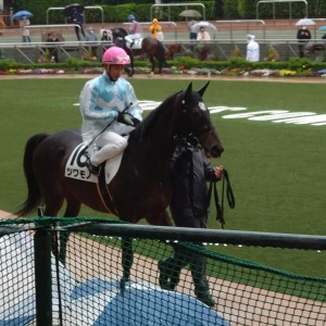 2023/3/26 3歳未勝利