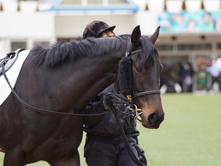 2023/2/25 3歳未勝利(牝) アドラブリーズ