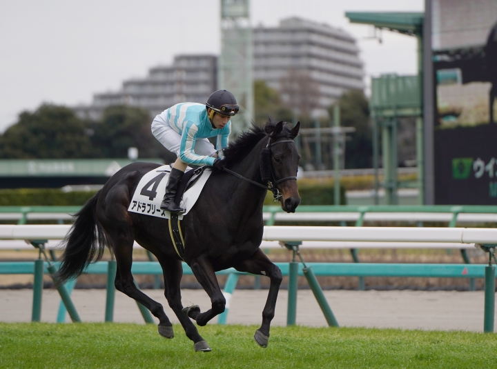 2023/2/25 3歳未勝利(牝) アドラブリーズ