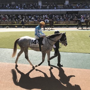 2023/2/11 3歳新馬