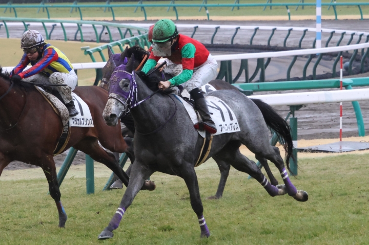 2024年1月 アイムフィアレス