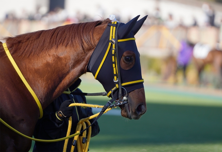 2024/1/27 3歳未勝利 マイネルウォーリア