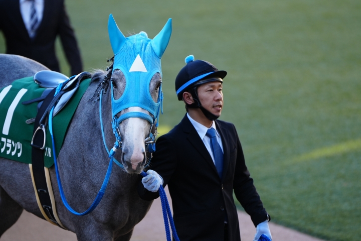 2024/1/14 京成杯(G3) マイネルフランツ