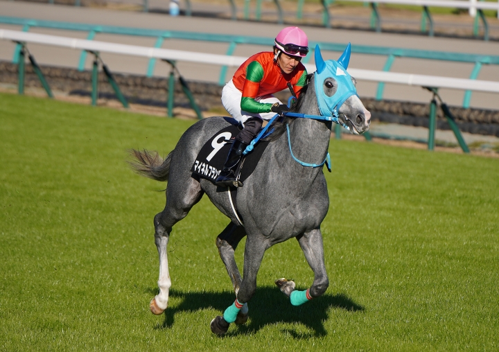 2023/12/2 葉牡丹賞(1勝クラス) マイネルフランツ