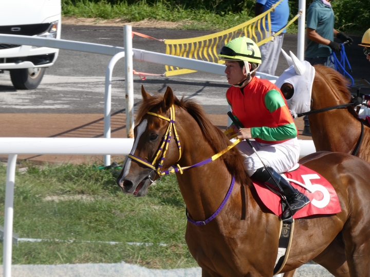 2024年7月 マイネルトゥルネー