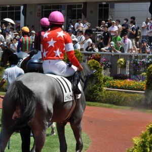 2023/8/6 2歳新馬