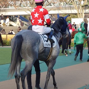 2025/2/15 4歳以上1勝クラス