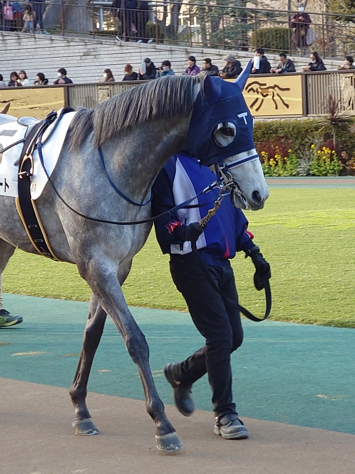 2025/2/15 4歳以上1勝クラス レッドレナート