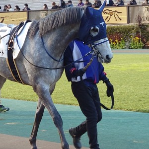 2025/2/15 4歳以上1勝クラス