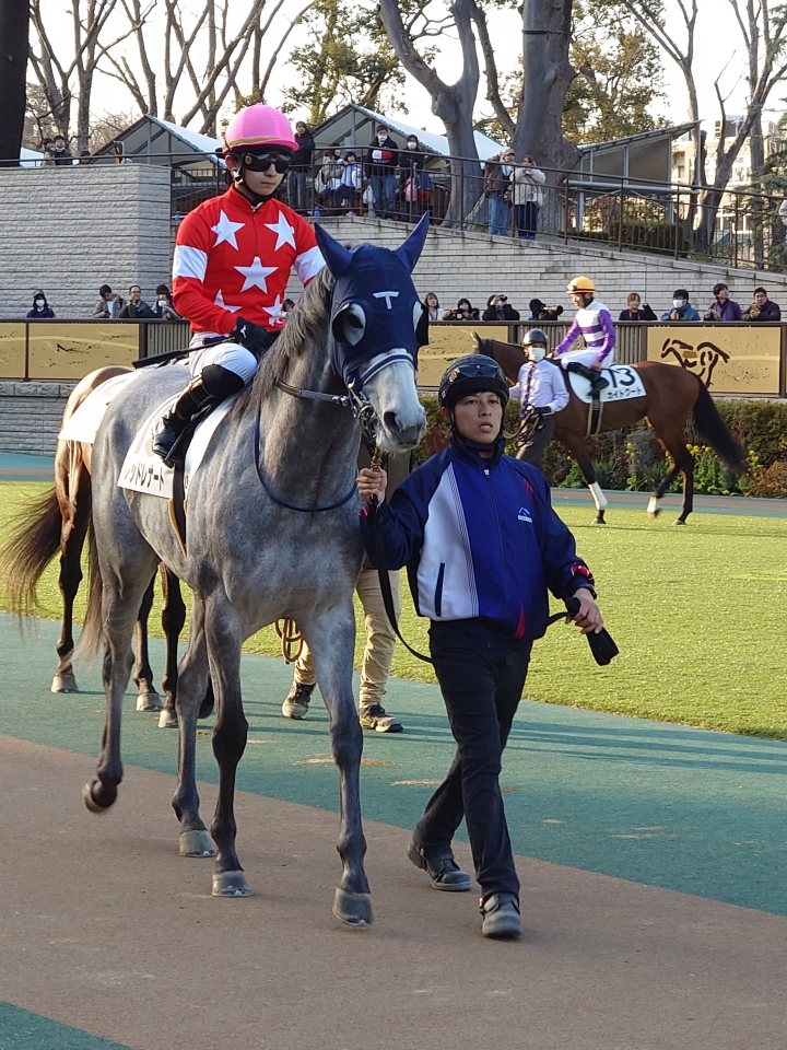2025/2/15 4歳以上1勝クラス レッドレナート