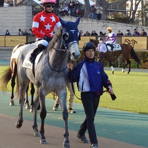 2025/2/15 4歳以上1勝クラス